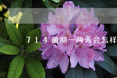 714逾期一两天会怎样 714逾期一两天会怎样