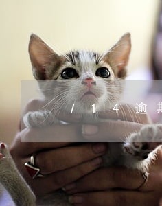 714逾期一个月