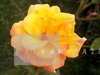 714逾期一个月了忽然催收 714逾期一个月了忽然催收