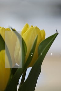 714逾期一个月会怎样 714逾期一个月会怎样