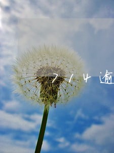 714逾期一天就被爆通讯录 714逾期一天就被爆通讯录