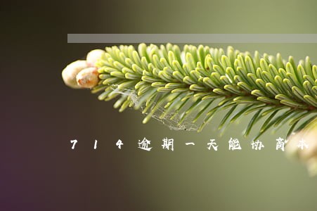 714逾期一天能协商本金吗 714逾期一天能协商本金吗