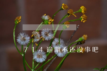 714逾期不还没事吧 714逾期不还没事吧