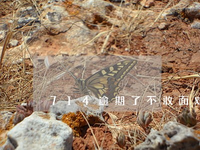 714逾期了不敢面对父母怎么办 714逾期了不敢面对父母怎么办