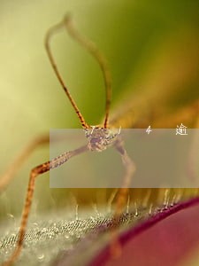714逾期了还能去哪里借钱 714逾期了还能去哪里借钱