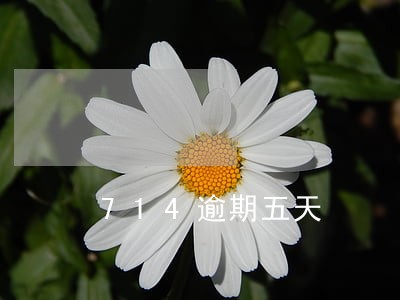 714逾期五天
