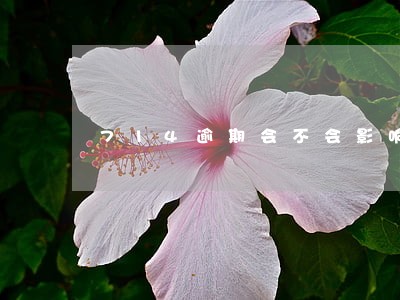 714逾期会不会影响信用贷 714逾期会不会影响信用贷