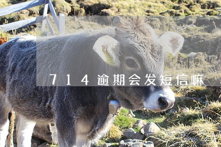 714逾期会发短信嘛 714逾期会发短信嘛
