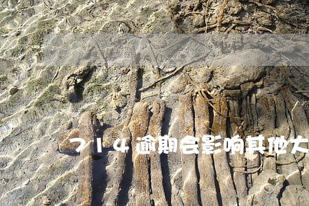 714逾期会影响其他大平台么 714逾期会影响其他大平台么