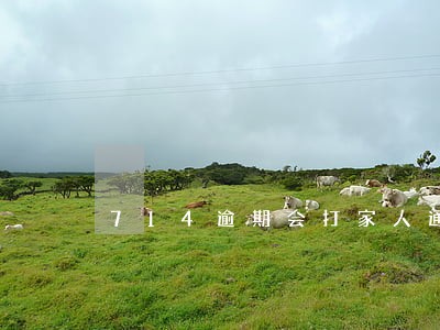 714逾期会打家人通讯录吗 714逾期会打家人通讯录吗