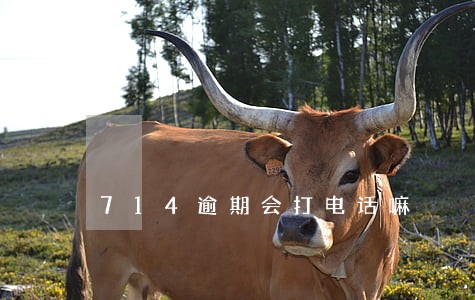 714逾期会打电话嘛 714逾期会打电话嘛