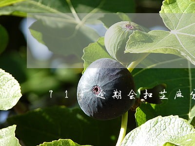 714逾期会扣芝麻分吗