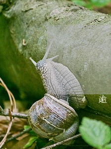 714逾期催收p图 714逾期催收p图