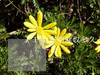 714逾期催收多久 714逾期催收多久