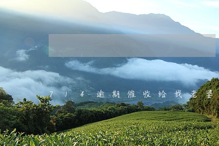 714逾期催收给我老婆电话 714逾期催收给我老婆电话