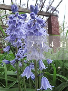 714逾期催收骂我朋友 714逾期催收骂我朋友