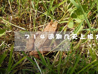 714逾期几天上报大数据 714逾期几天上报大数据