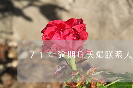 714逾期几天爆联系人 714逾期几天爆联系人