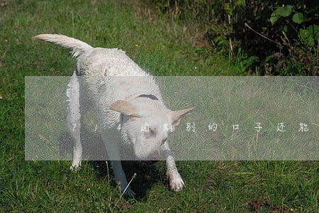 714逾期别的口子还能下吗 714逾期别的口子还能下吗