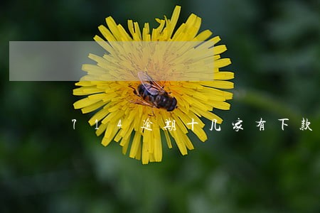 714逾期十几家有下款的吗 714逾期十几家有下款的吗