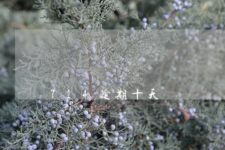 714逾期十天 714逾期十天