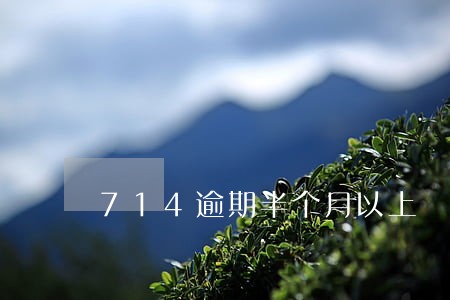 714逾期半个月以上 714逾期半个月以上