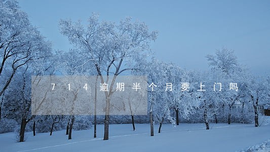 714逾期半个月要上门吗 714逾期半个月要上门吗