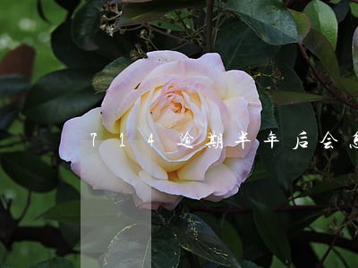 714逾期半年后会怎么样 714逾期半年后会怎么样
