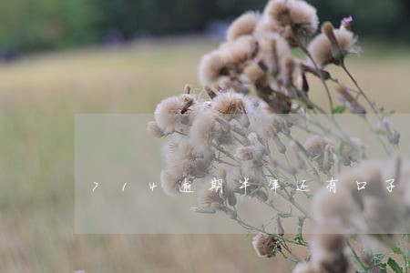 714逾期半年还有口子吗 714逾期半年还有口子吗