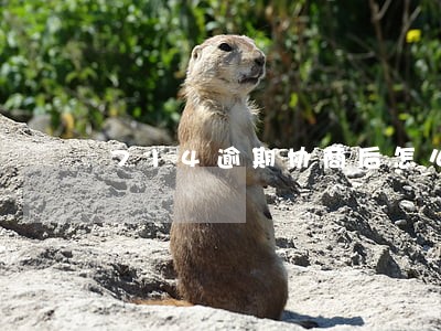 714逾期协商后怎么还本金 714逾期协商后怎么还本金