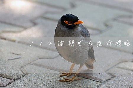 714逾期可以投诉销账吗 714逾期可以投诉销账吗