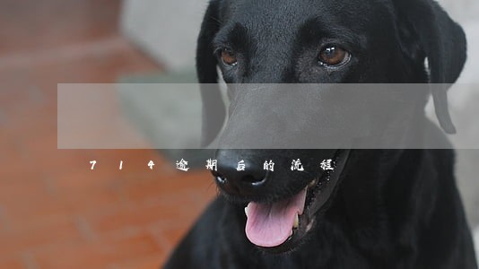 714逾期后的流程 714逾期后的流程