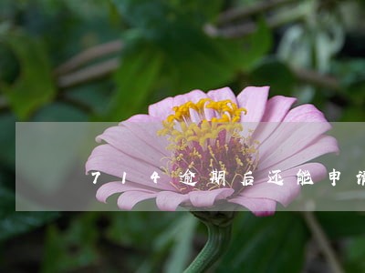 714逾期后还能申请别的 714逾期后还能申请别的
