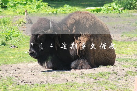 714逾期多久催收