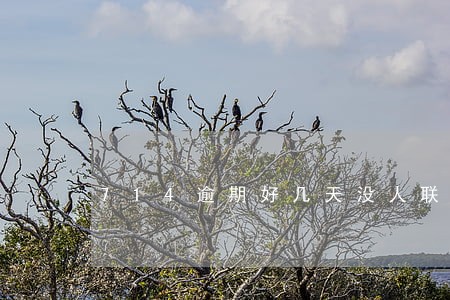 714逾期好几天没人联系 714逾期好几天没人联系