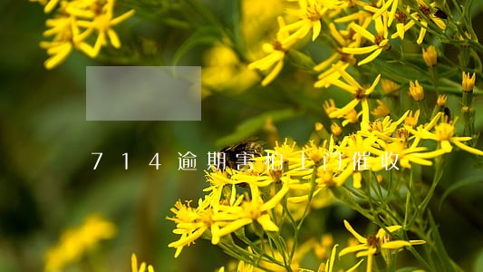 714逾期害怕上门催收 714逾期害怕上门催收