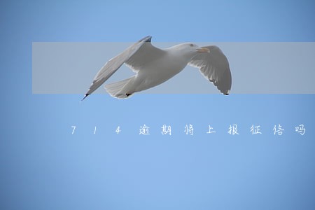 714逾期将上报征信吗 714逾期将上报征信吗