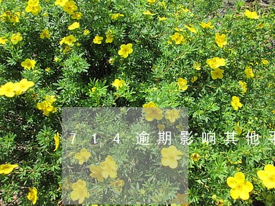 714逾期影响其他平台借款吗