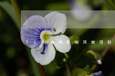 714逾期影响其他贷款吗 714逾期影响其他贷款吗