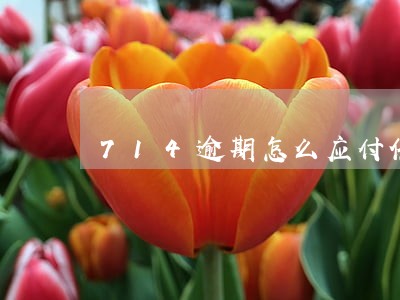 714逾期怎么应付催收 714逾期怎么应付催收
