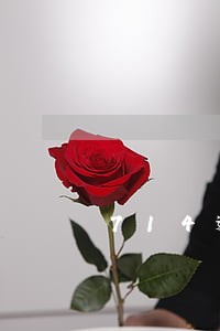 714逾期成网贷黑户 714逾期成网贷黑户