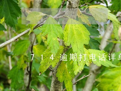 714逾期打电话详单的号码 714逾期打电话详单的号码
