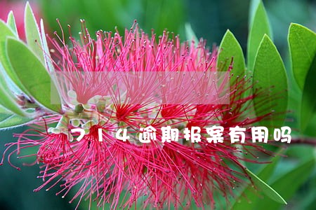714逾期报案有用吗 714逾期报案有用吗