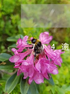 714逾期收到好多验证码 714逾期收到好多验证码