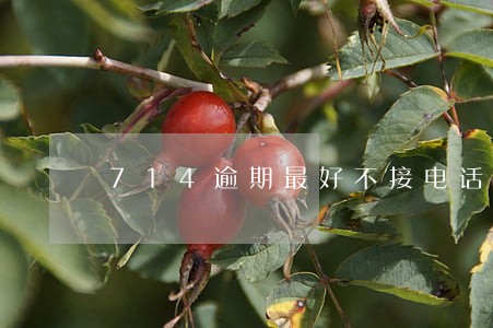 714逾期最好不接电话 714逾期最好不接电话