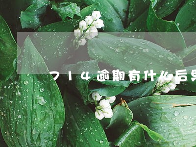 714逾期有什么后果