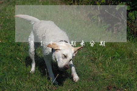 714逾期来分期