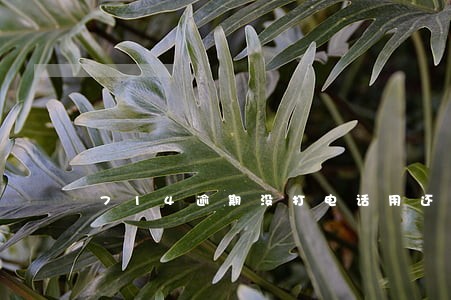 714逾期没打电话用还吗 714逾期没打电话用还吗