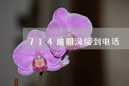 714逾期没接到电话