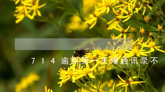 714逾期第一天爆通讯录不 714逾期第一天爆通讯录不